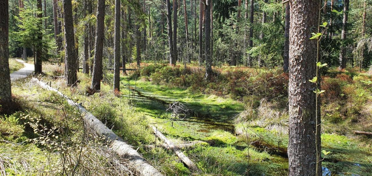Eco Z Duzym Ogrodem I Widokiem Murzasichle