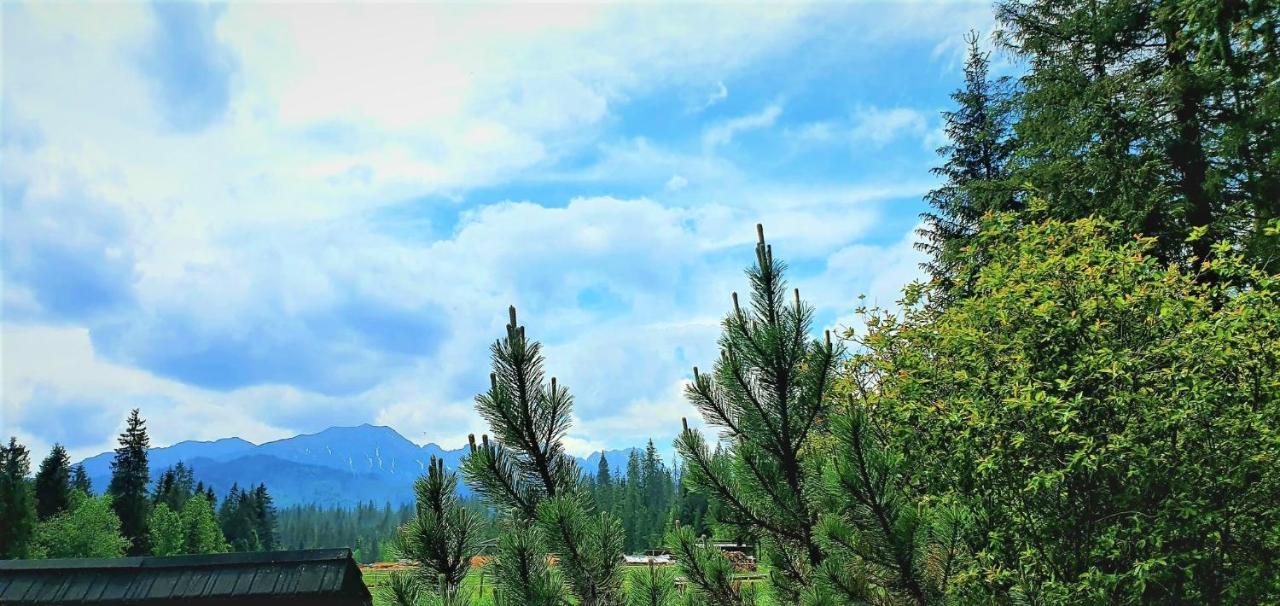 Eco Z Duzym Ogrodem I Widokiem Chalet *