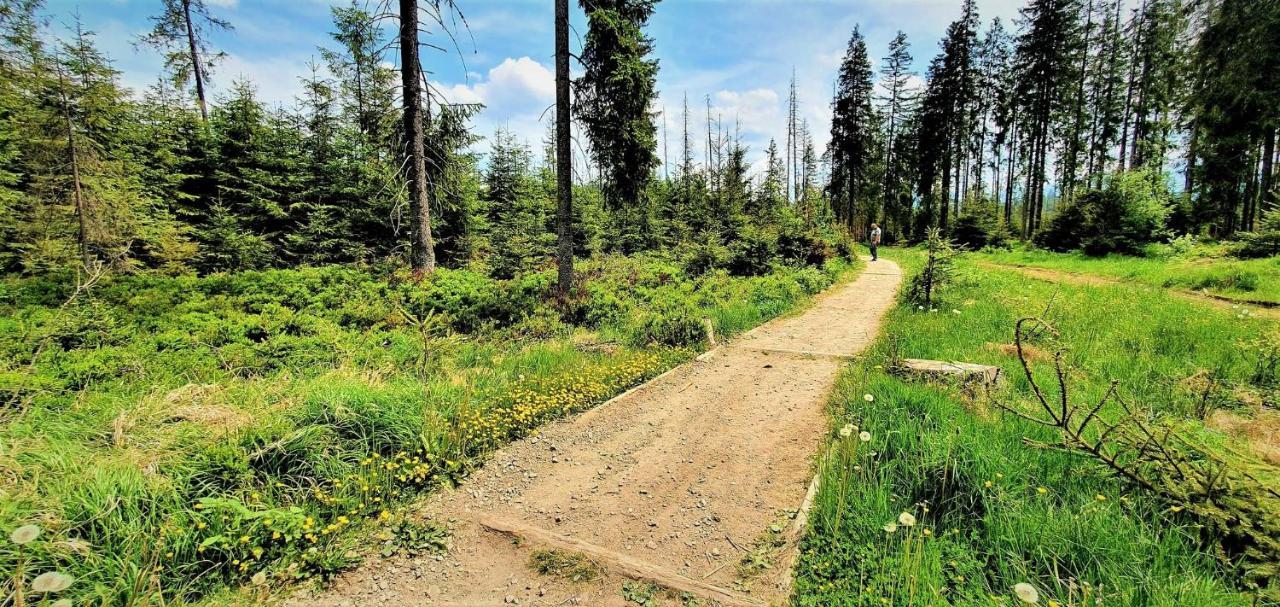 Chalet Eco Z Duzym Ogrodem I Widokiem Murzasichle
