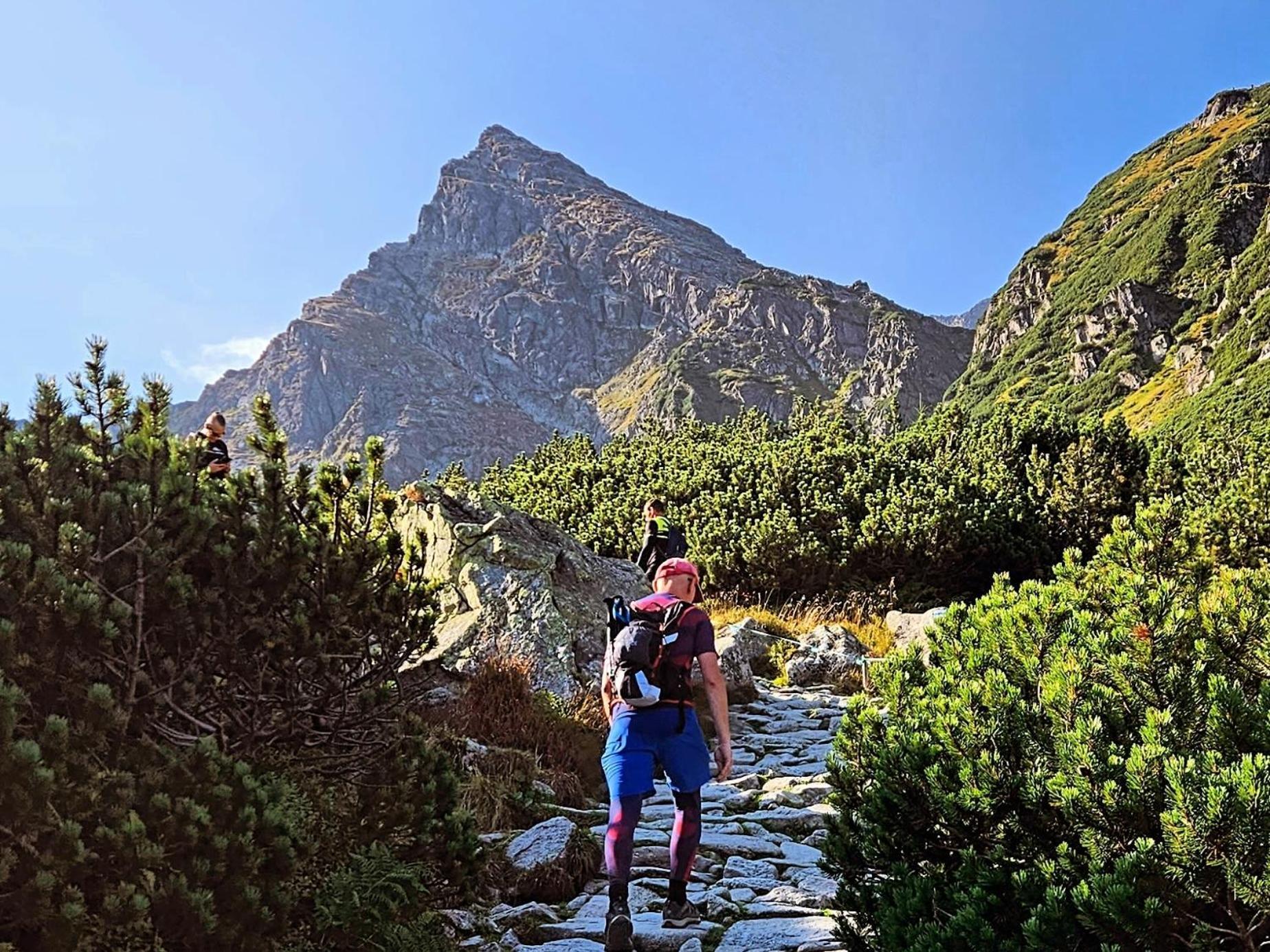 Eco Z Duzym Ogrodem I Widokiem Chalet